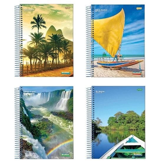 Caderno Brasilidade com D 1-4 96 folhas Jandaia