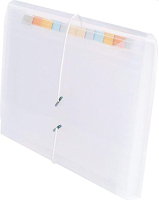 Pasta Sanfonada DAC, 31 Divisões, 1/2 Oficio 240 mm x 180 mm