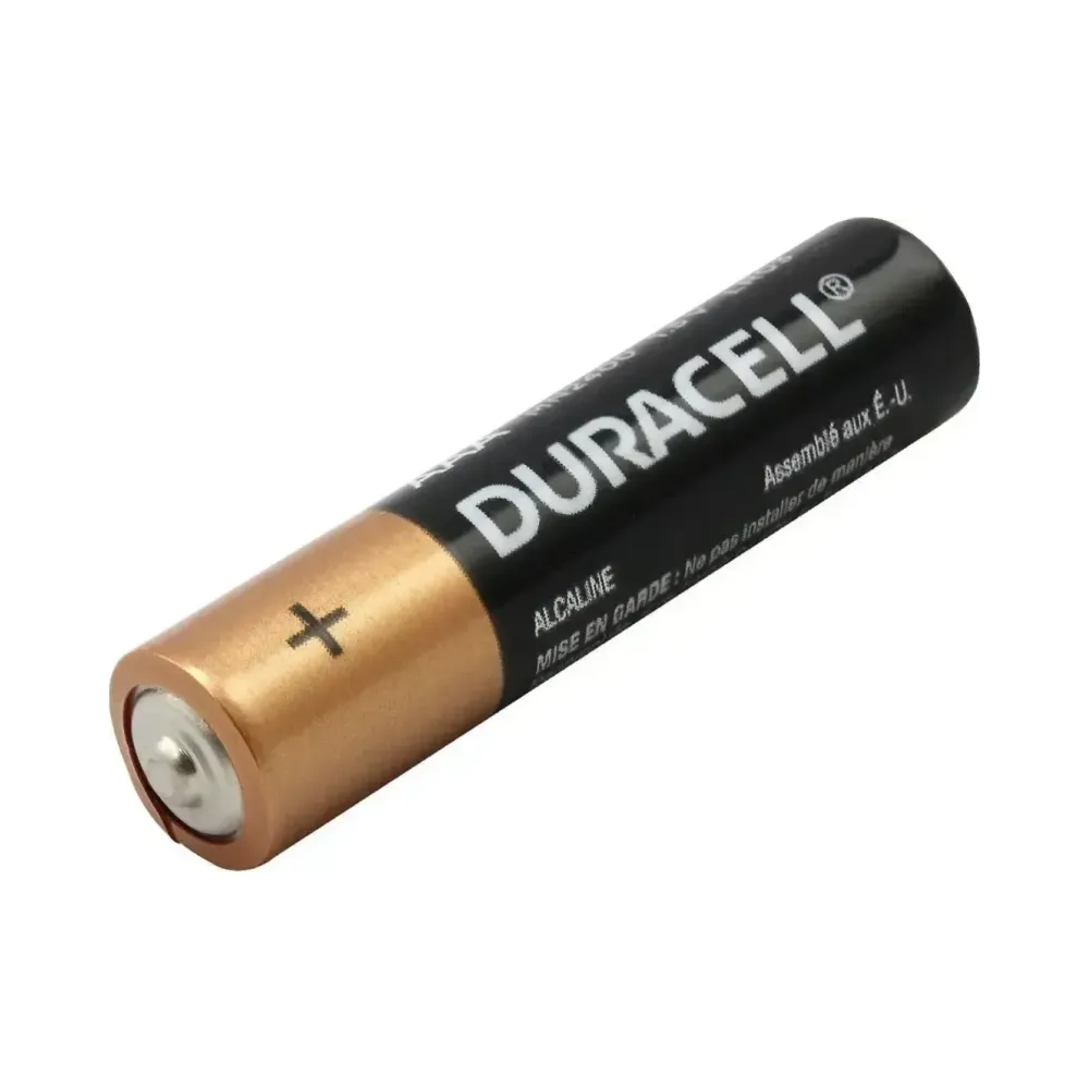 Pilhas Alcalinas AAA 1.5V Duracell 2 unidades