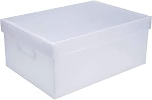 Caixa Organizadora Pl&aacute;stica Cristal Polibras Extra Grande 48x33x20cm