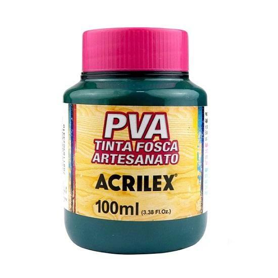 Tinta PVA Fosca Artesanato Acrilex 100ml Verde Bandeira