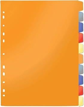 Divisórias para Fichário DAC Cores Diversas 10 unidades