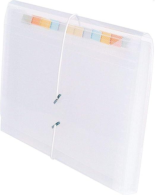 Pasta Sanfonada DAC, 31 Divis&otilde;es, 1/2 Oficio 240 mm x 180 mm