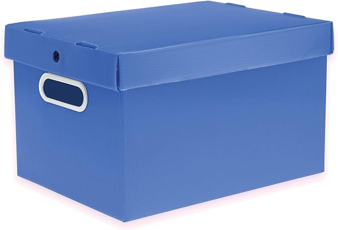 Caixa Organizadora 310x230x190mm Azul ProntoBox