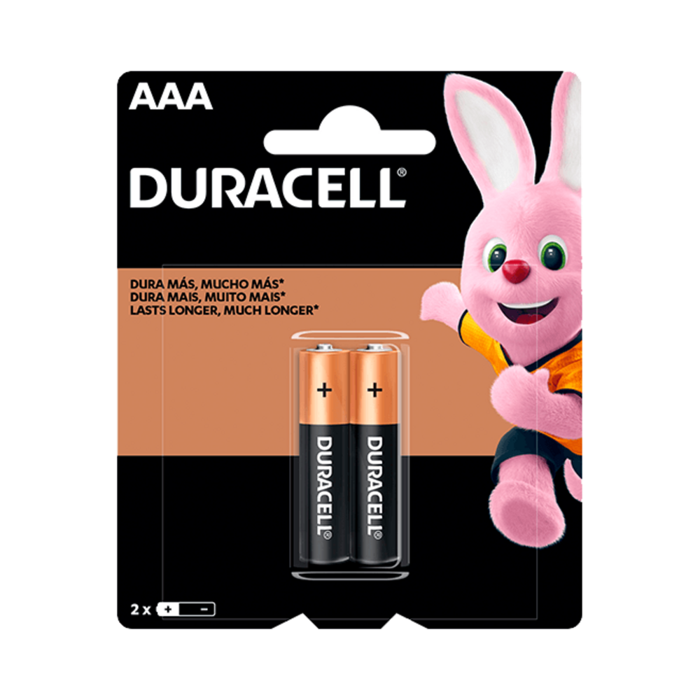 Pilhas Alcalinas AAA 1.5V Duracell 2 unidades
